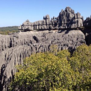 The spectacular mineral forest of Tsingy de Bemarahastands on the western coast of Madagascar. The whole protected area, designated a World Heritage Site by the UNESCO in 1990, comprises a surface of 1.575 km². The reserve’s canyons, gorges, undisturbed forests, lakes and mangrove swamps display an amazing richness of fauna and flora which have not been completely recorded. The rate of endemism is about 85%, and 47% are even local endemic!
